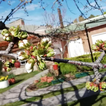 Como En Casa Trelew Exterior photo