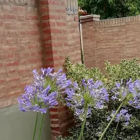 Como En Casa Trelew Exterior photo