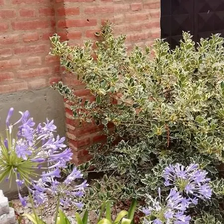 Como En Casa Trelew Exterior photo