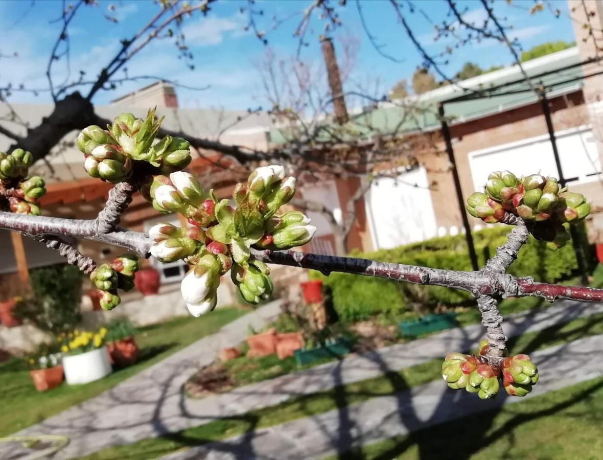 En Casa Trelew