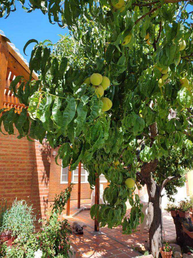 Apartment En Casa Trelew